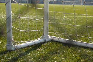 milanAPP下载入口官网-中国足球门将反应时与扑救角度关系，门将反应和门将扑救