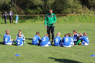 米兰全站APP正式版下载-德甲球队战术模拟平台辅助比赛策略调整的应用研究，德甲游戏